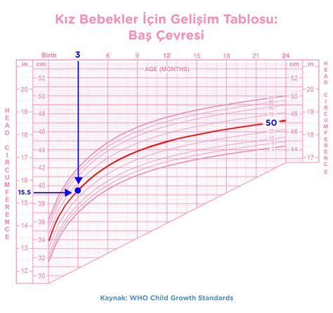 Kız Bebek Gelişim Tablolarıyla Bebeğinizin Büyümesini İzleyin