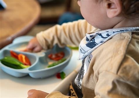 Bebek Beslenmesinde Bütçe Dostu Ek Gıda Seçenekleri: Ekonomik Menü Önerileri
