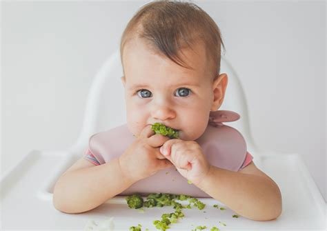 Bebek Beslenmesinde Doğal Tatlandırıcılarla Sağlıklı Menü Oluşturma