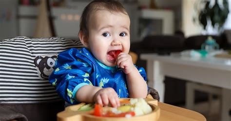 Bebek Beslenmesinde İlk Gıda Deneyimi: Hangi Gıdalar Tercih Edilmeli?