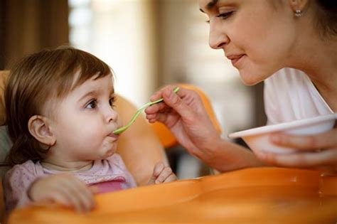 Bebek Beslenmesinde Yaşa Uygun Beslenme Planları: 0-6 Ay ve 6-12 Ay Rehberi
