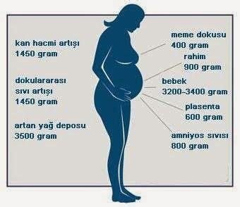 Hamilelikte Gebelik Diyetinde Kilo Artışını Kontrollü Tutmanın Yöntemleri