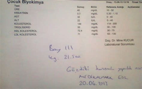 Hamilelikte Gebelik Dönemi Raporları: Test Sonuçlarının Anlamı