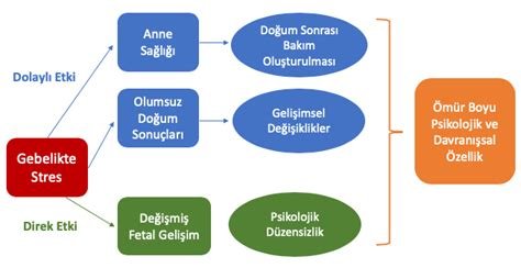 Hamilelikte Stres Yönetimi: Rahatlamanın ve Zihinsel Dengenin Yol Haritası